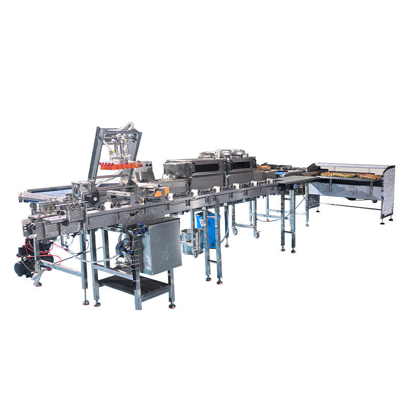 Palletised egg grading production line
