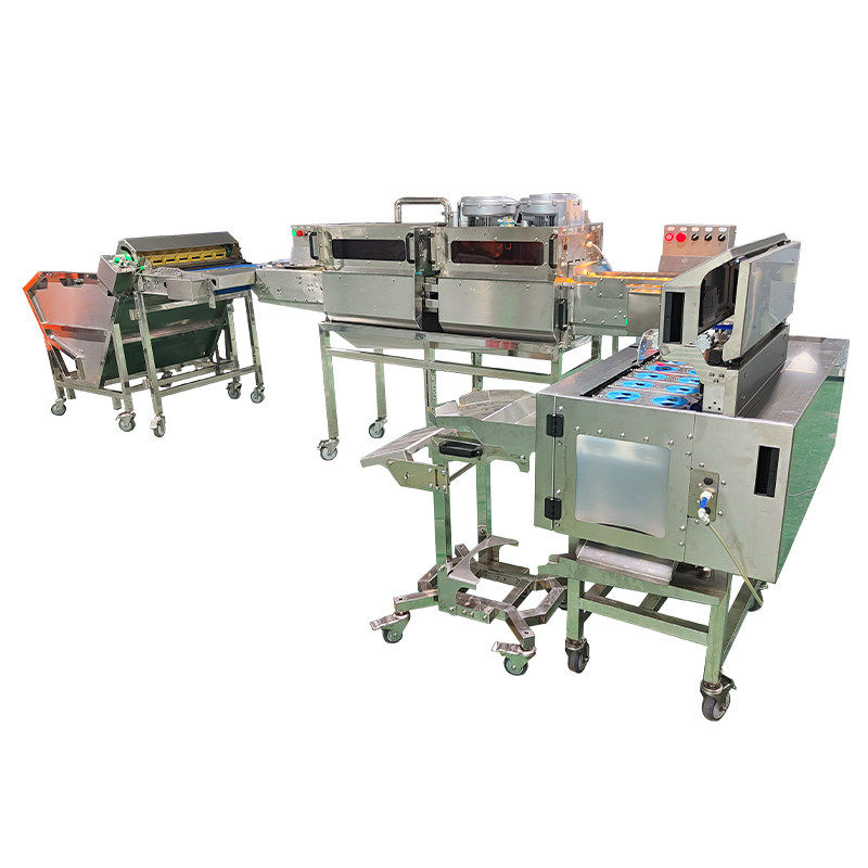 Egg washing, sterilisation, drying, and egg knocking integrated production line