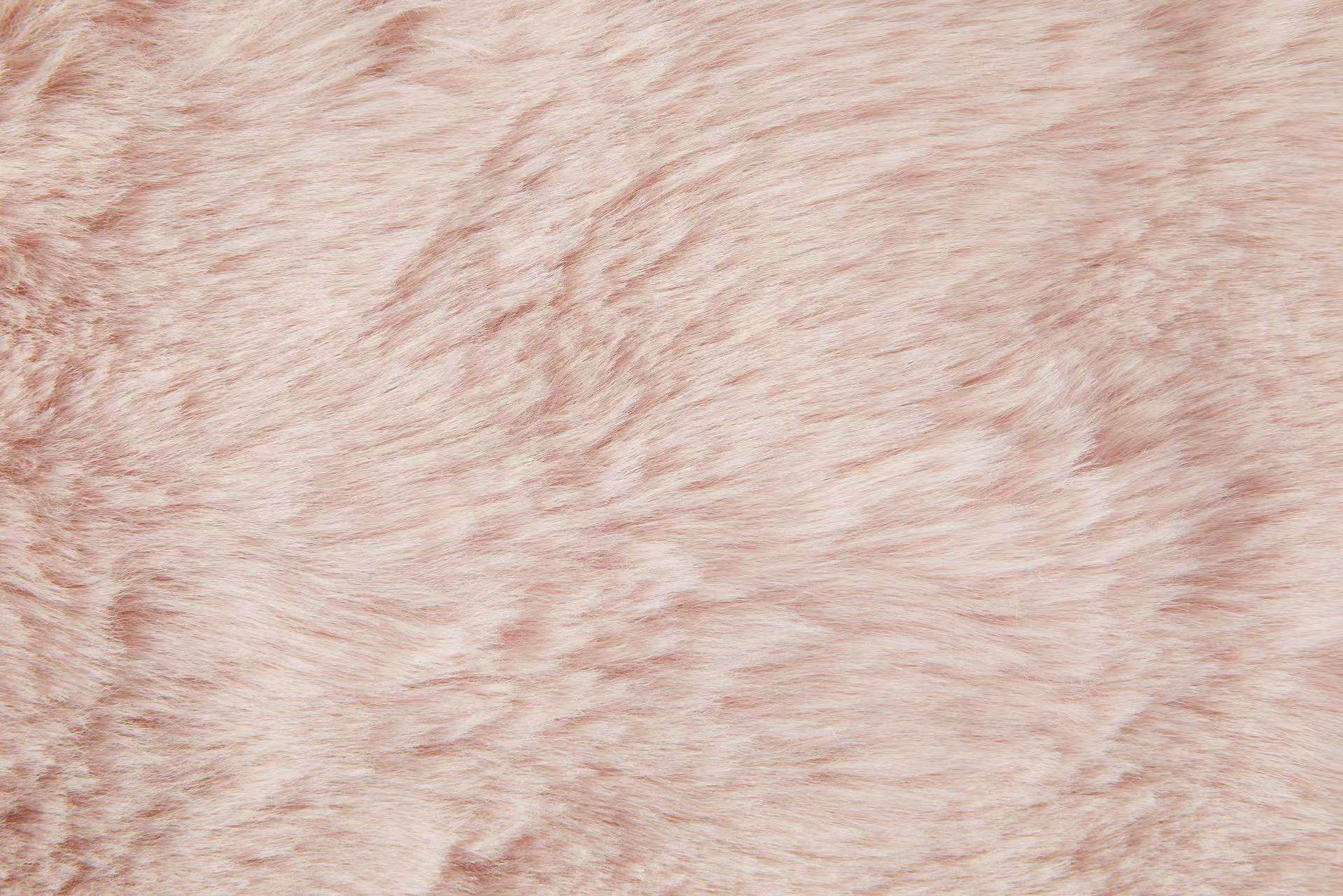 EVERCLOUDHOME Co., Ltd