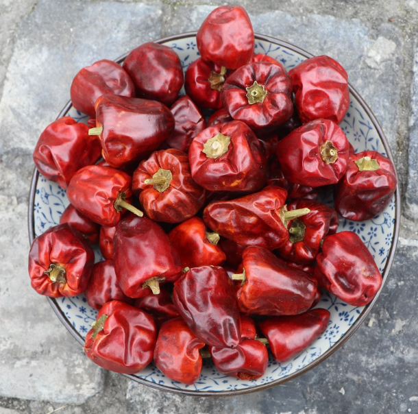 Red Bell Pepper