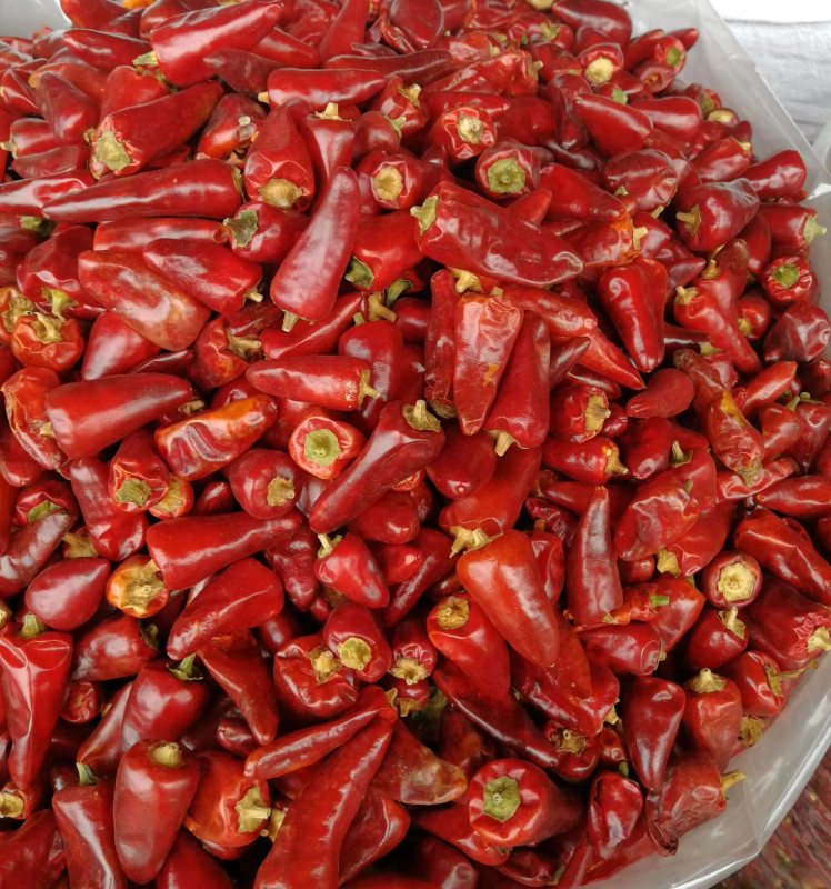 Bullet Chilli