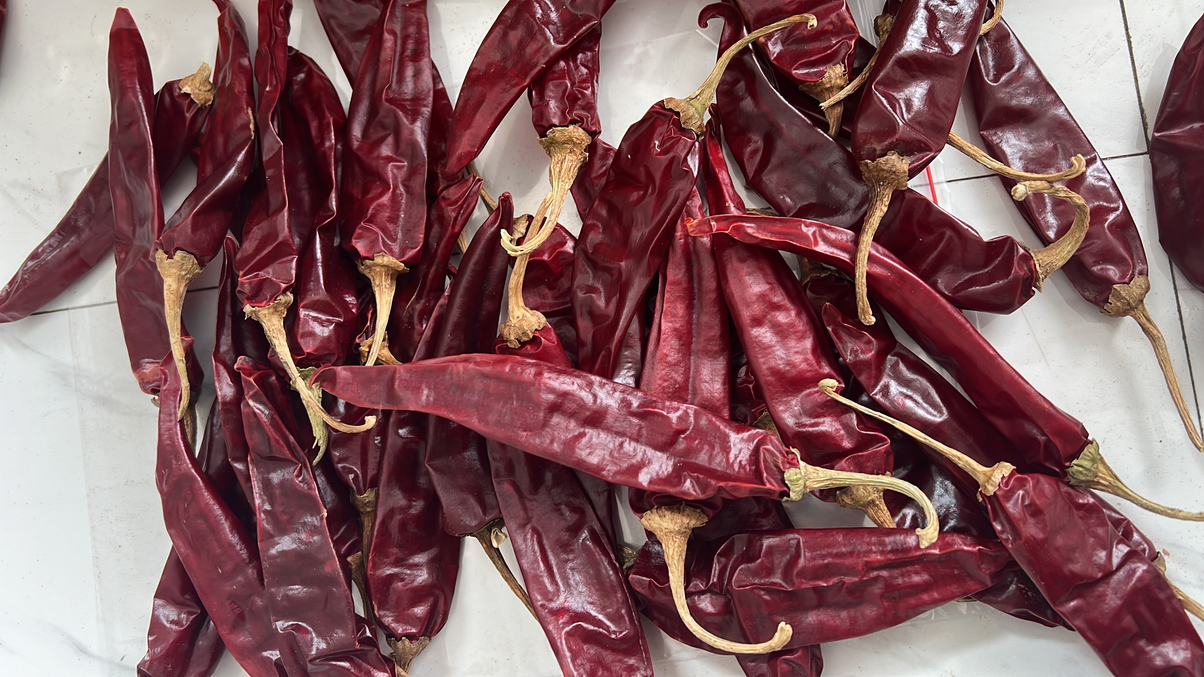 chejianhuozhaopian(1)