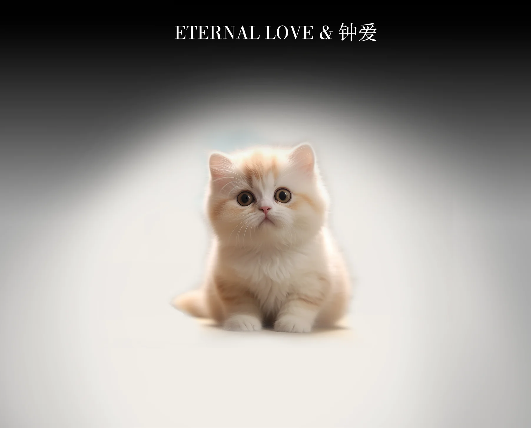 恒爱宠物善终服务（ETERNAL  LOVE））