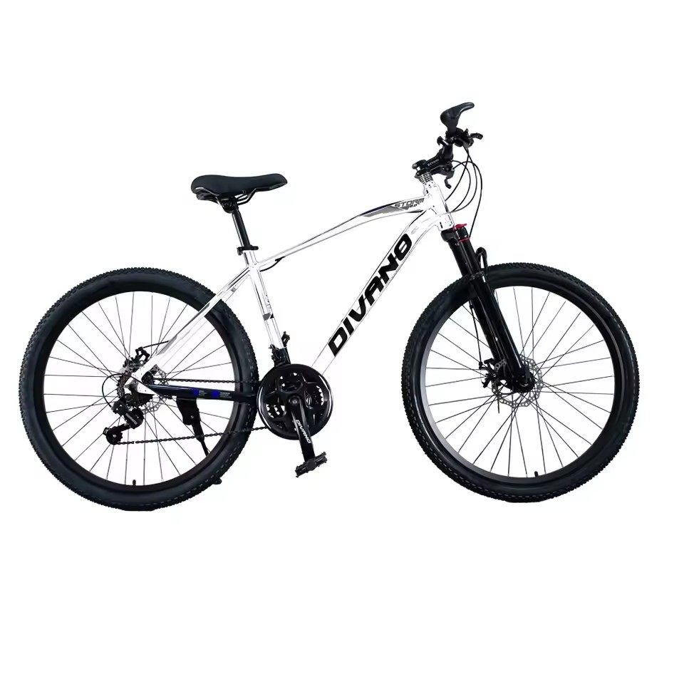 Popular and affordable 29 inch mountain bikes with 21 speed disc brakes and steel forks