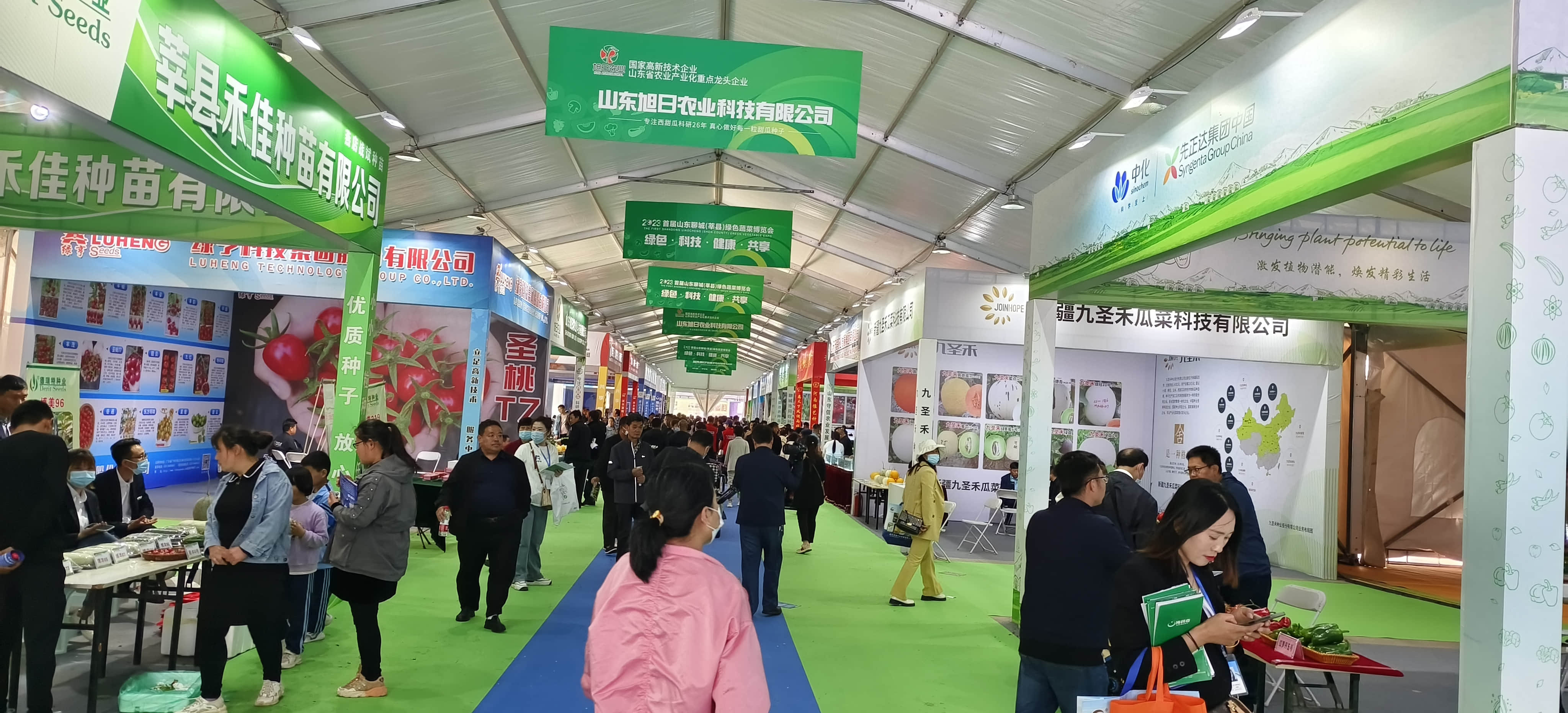 weixintupian_20241118104950