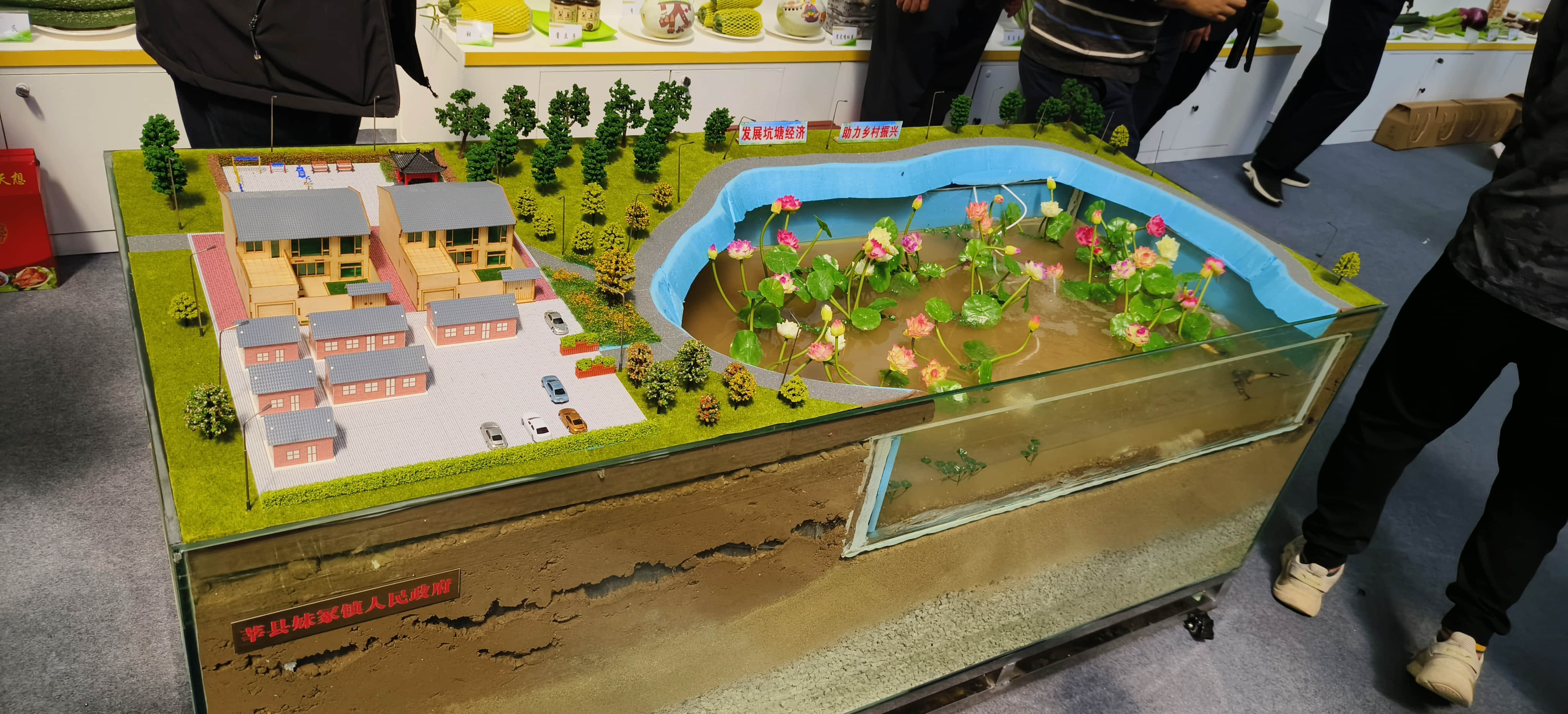 weixintupian_20241118105047