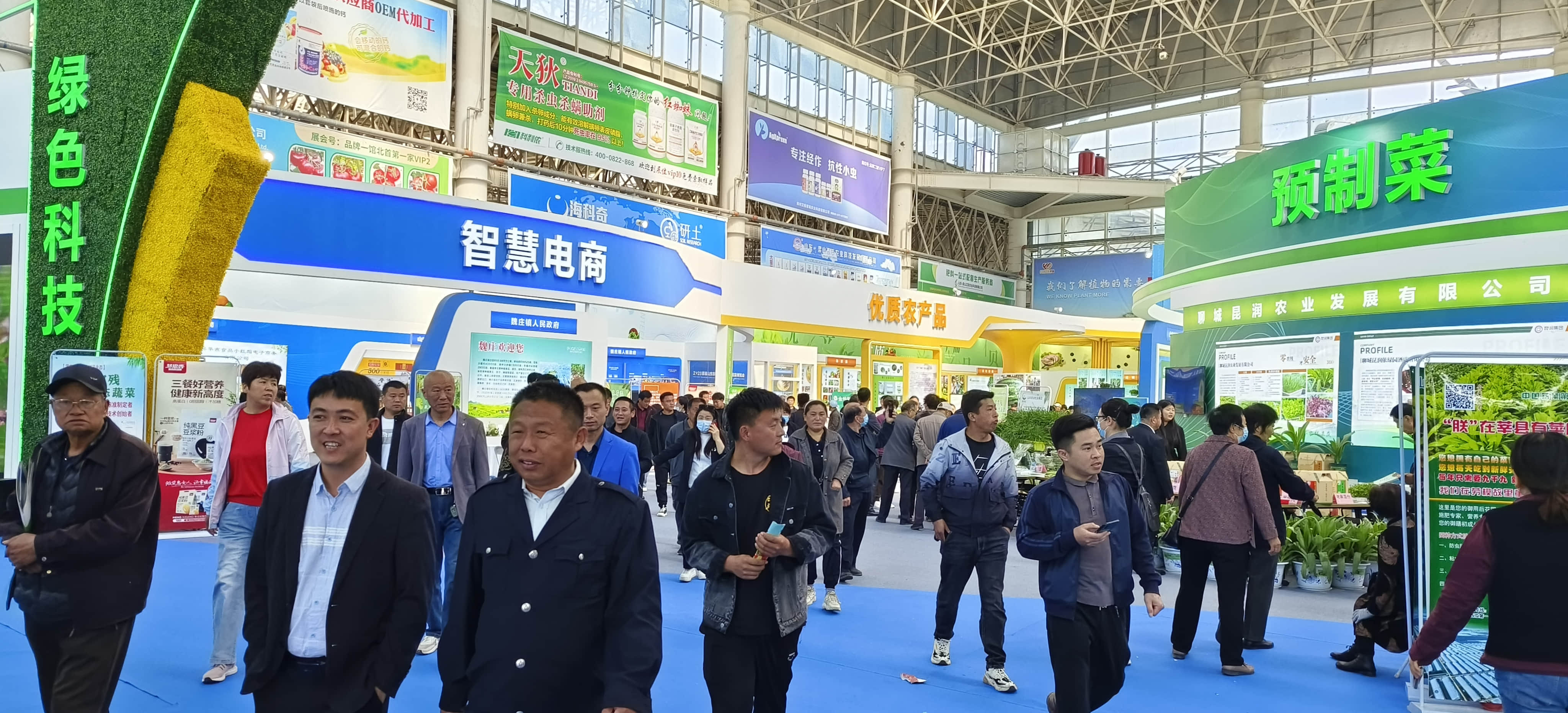 weixintupian_20241118105121