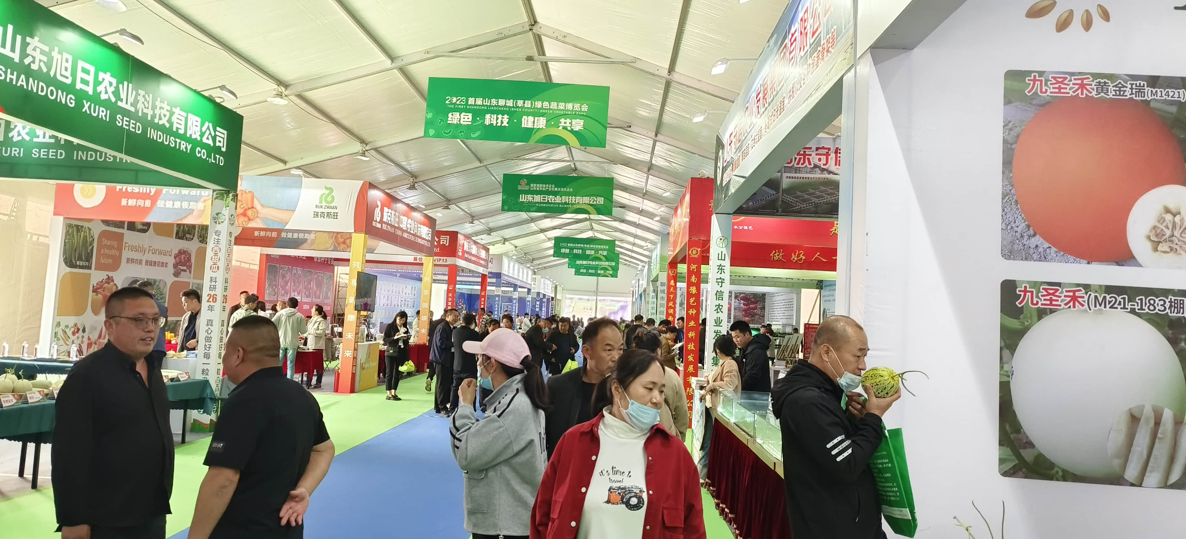 weixintupian_20241118105231