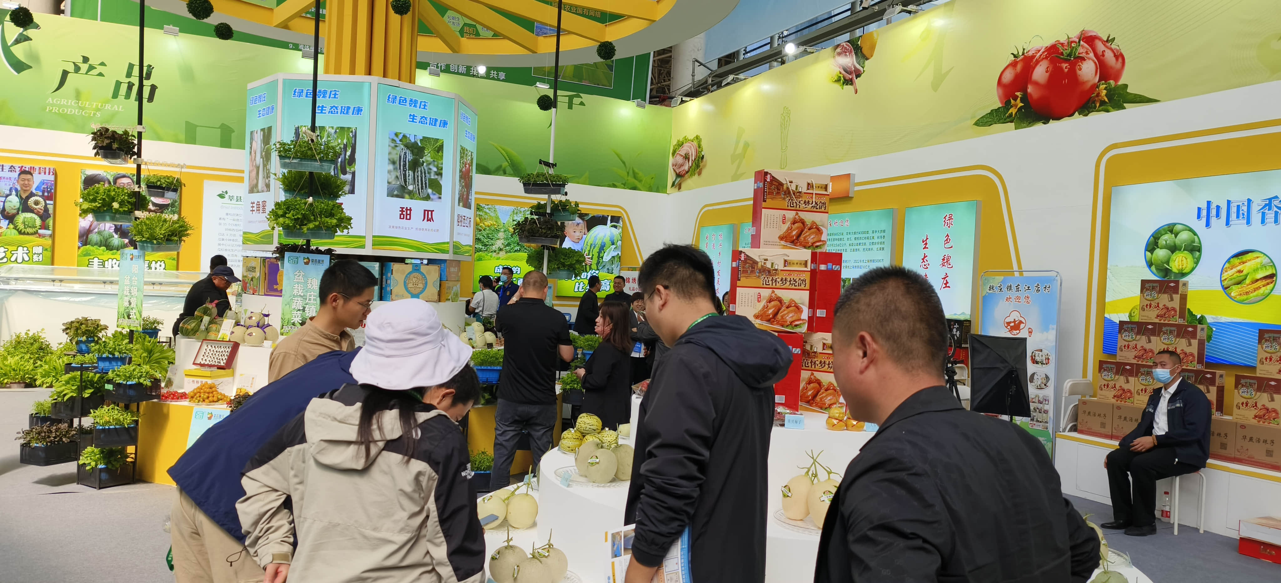 weixintupian_20241118105309