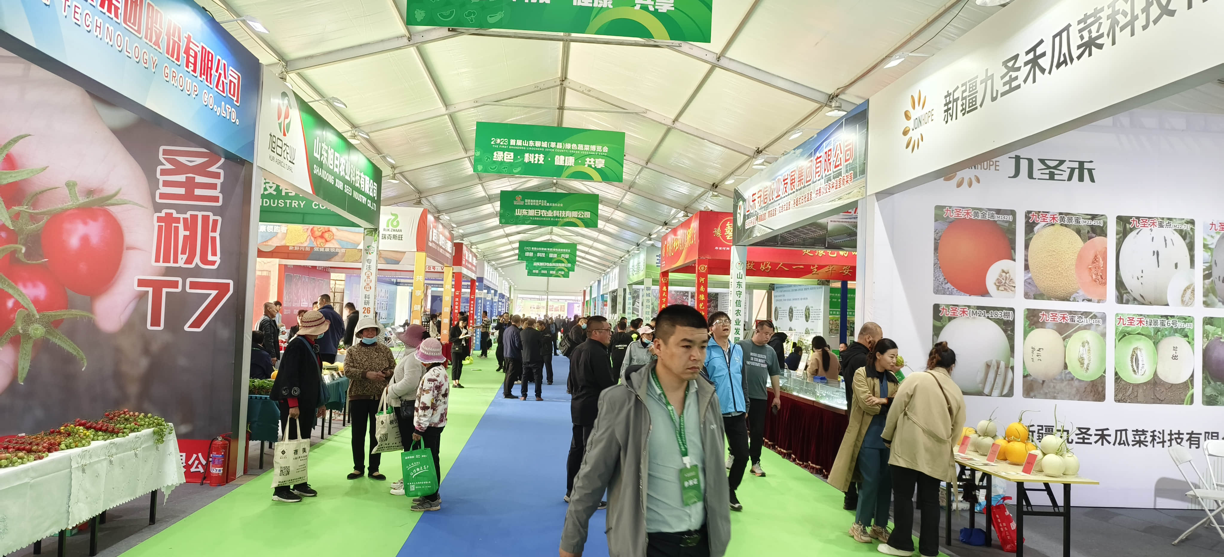 weixintupian_20241118105313