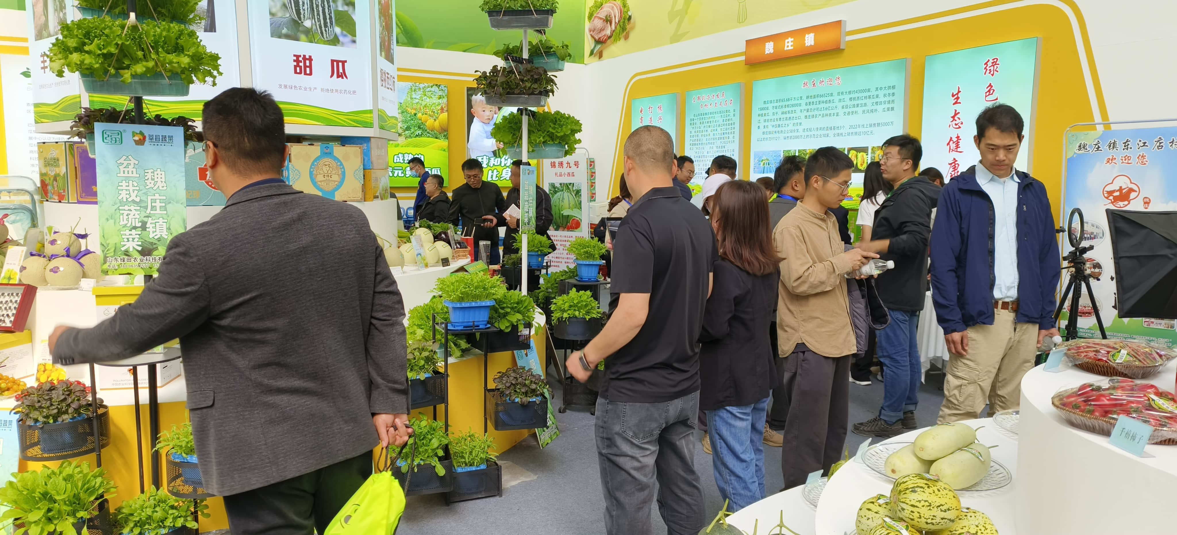 weixintupian_20241118105349