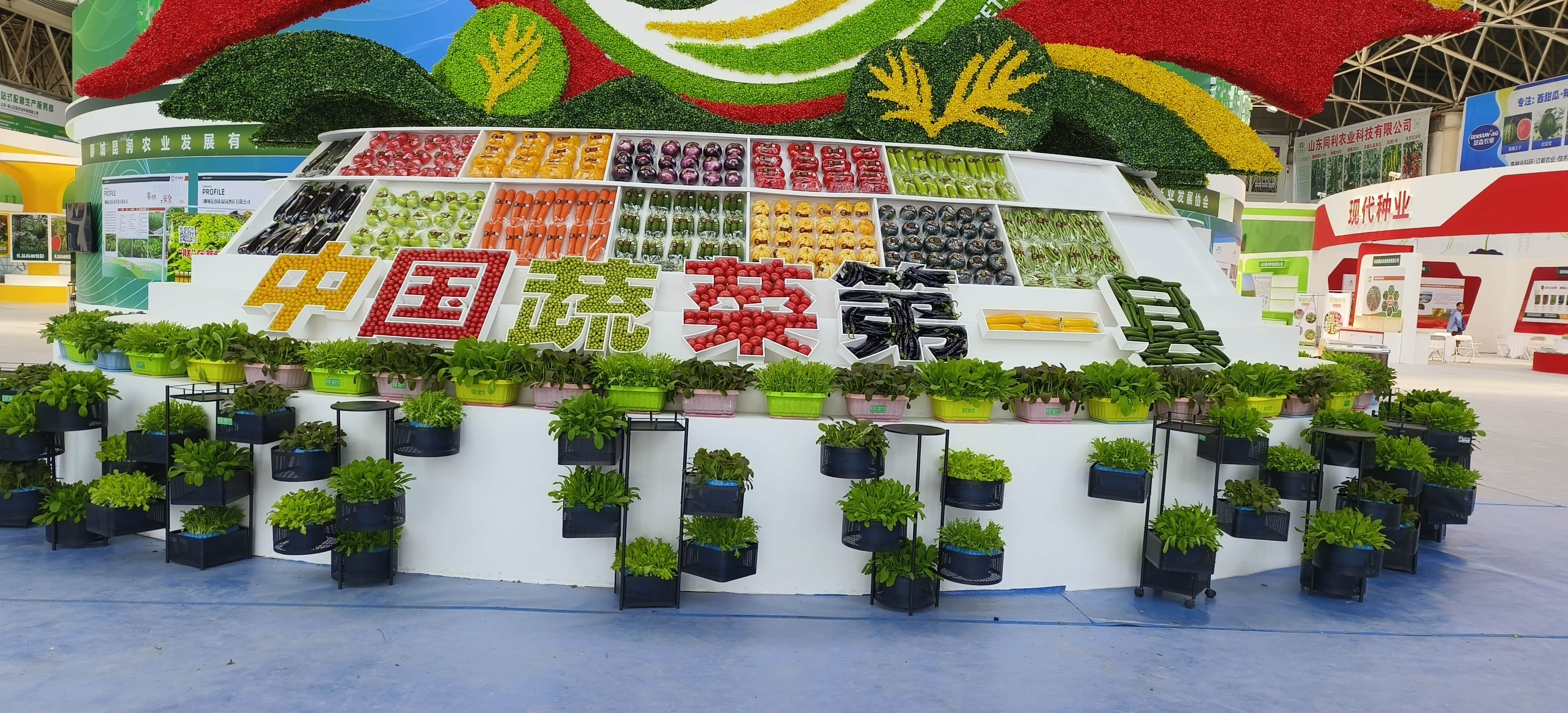 weixintupian_20241118105407