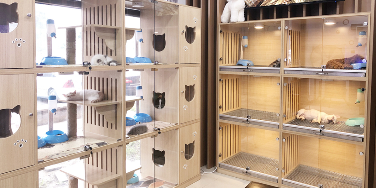 浙江枫翎新材料科技有限公司