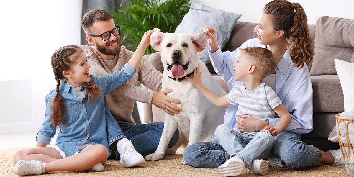 浙江枫翎新材料科技有限公司