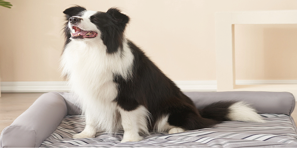 浙江枫翎新材料科技有限公司