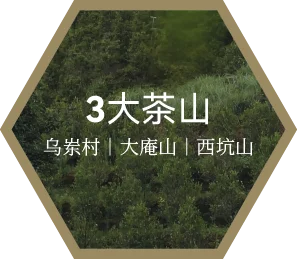  茶叶供货稳定