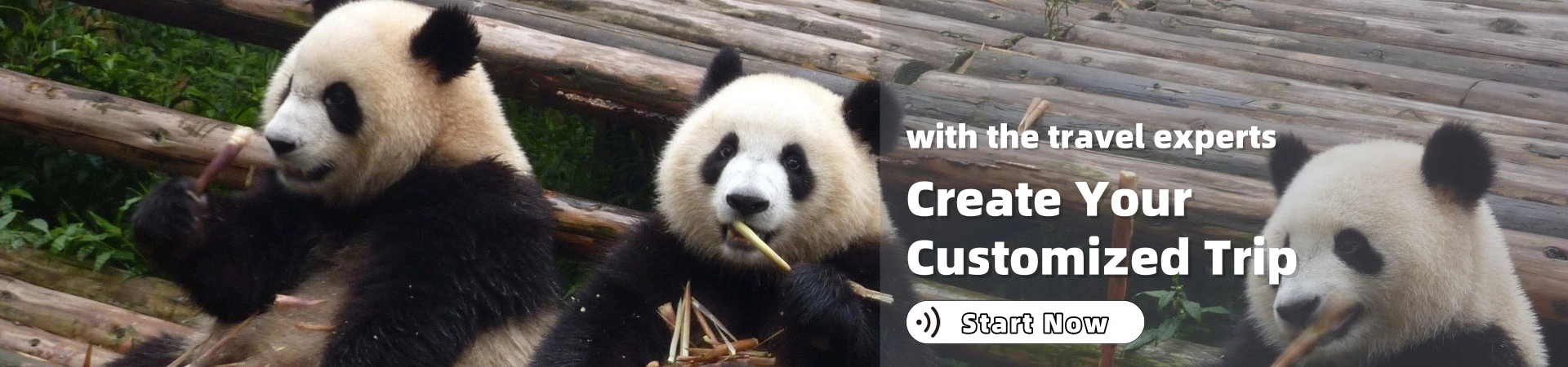 和乐光环（北京）旅游有限公司