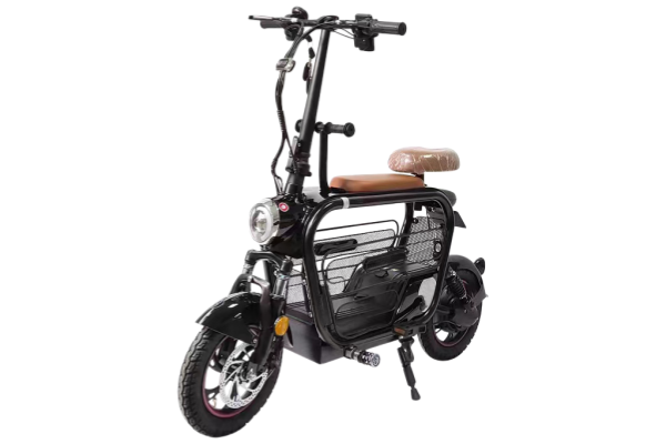 动自行车Ebike快速模型， 带智能控制器和新状态电动踏板