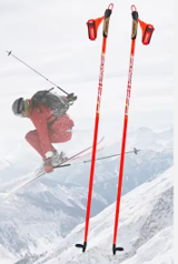 Ski pole
