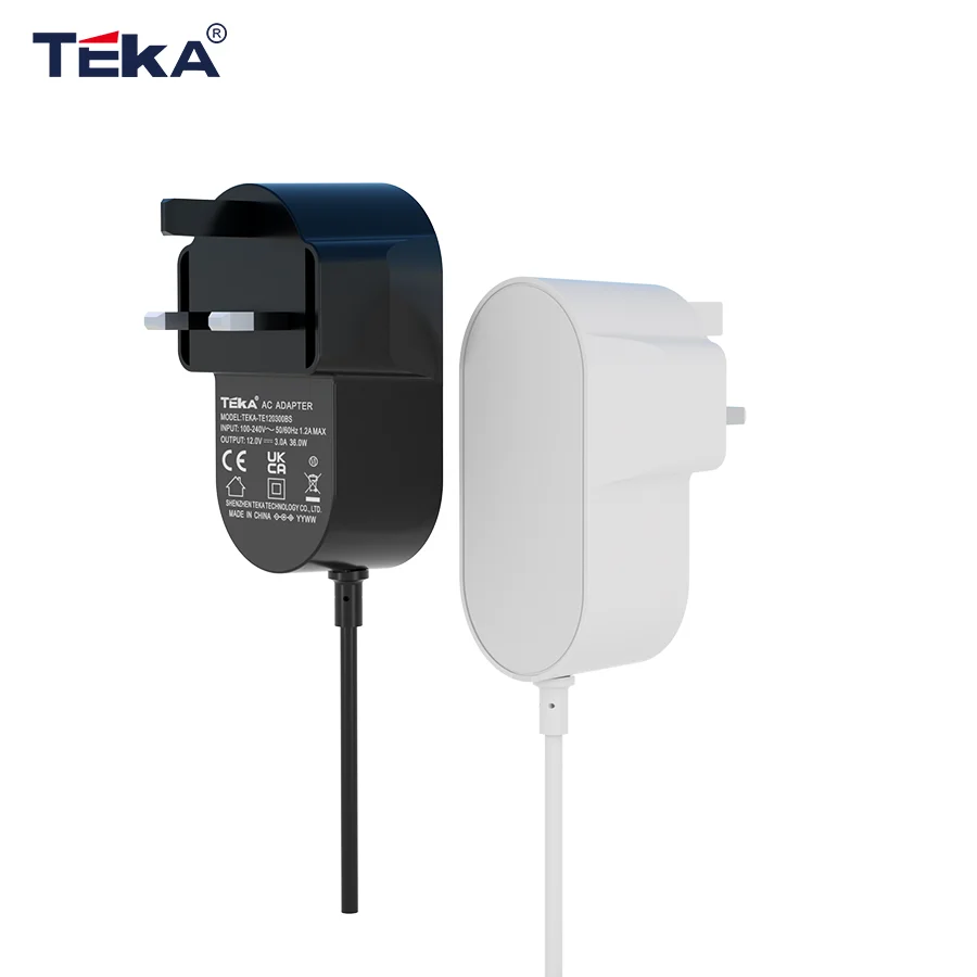42w wall-mounted power adapter british standard
