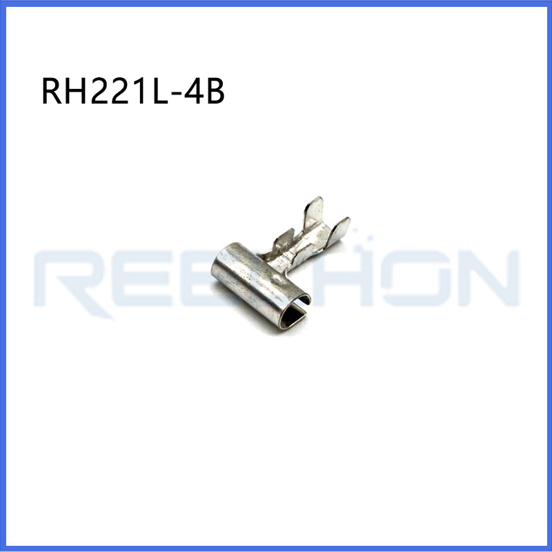 Ruian Ruihong Trading Co., Ltd.