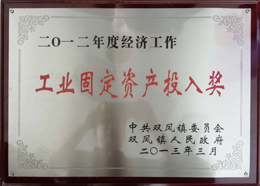 gudingzichantourujiangli