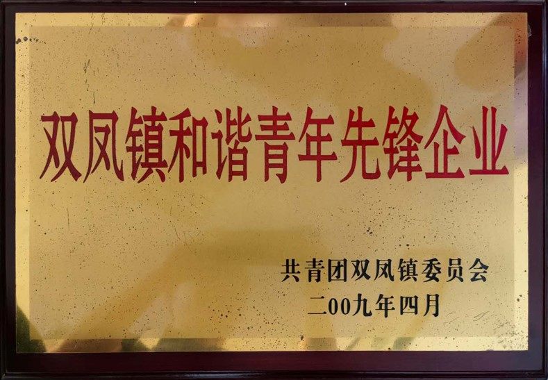 qingnianxianfengqiye