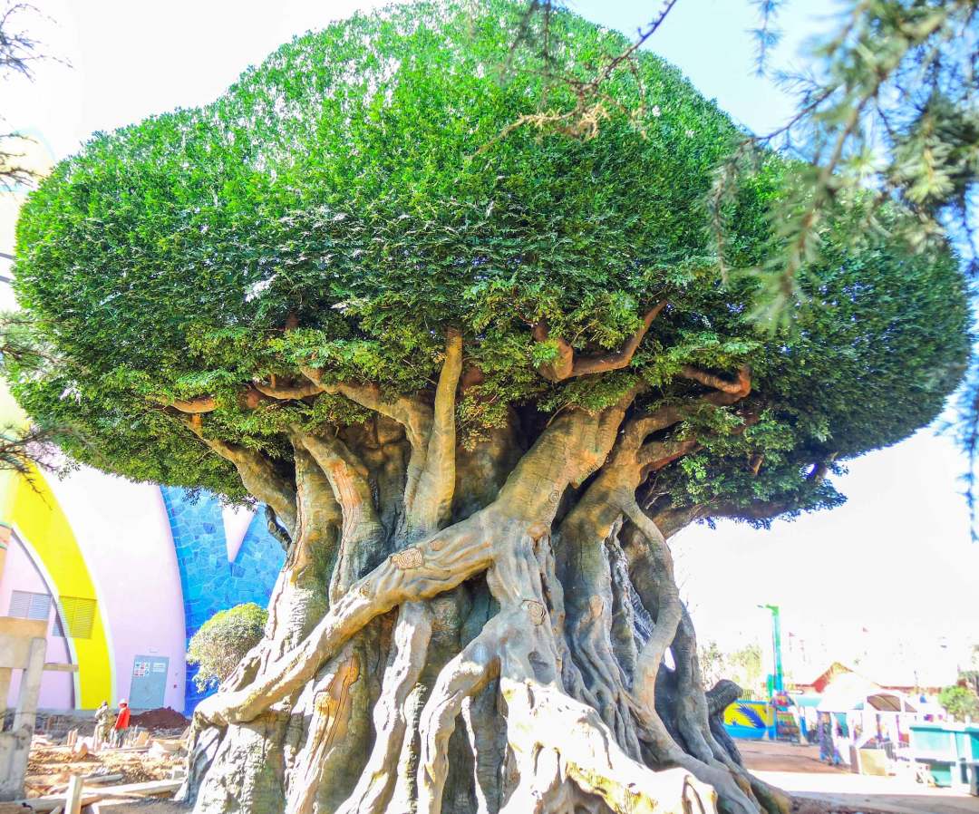 云南滇越铁路主题乐园