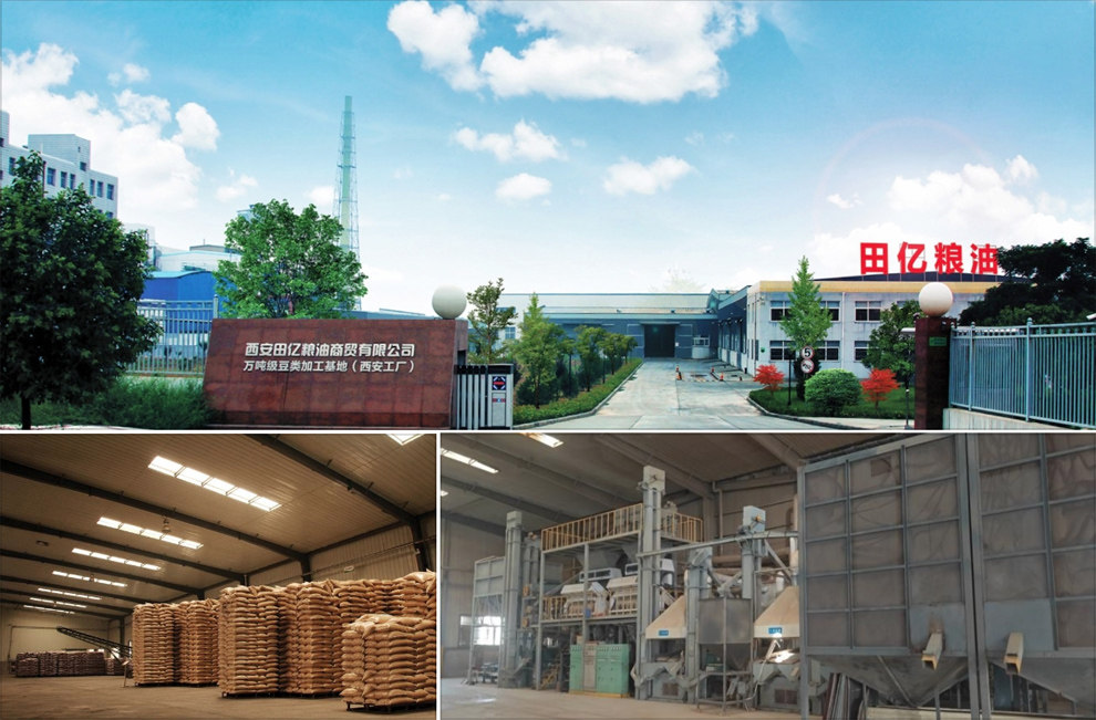 横山株式会社