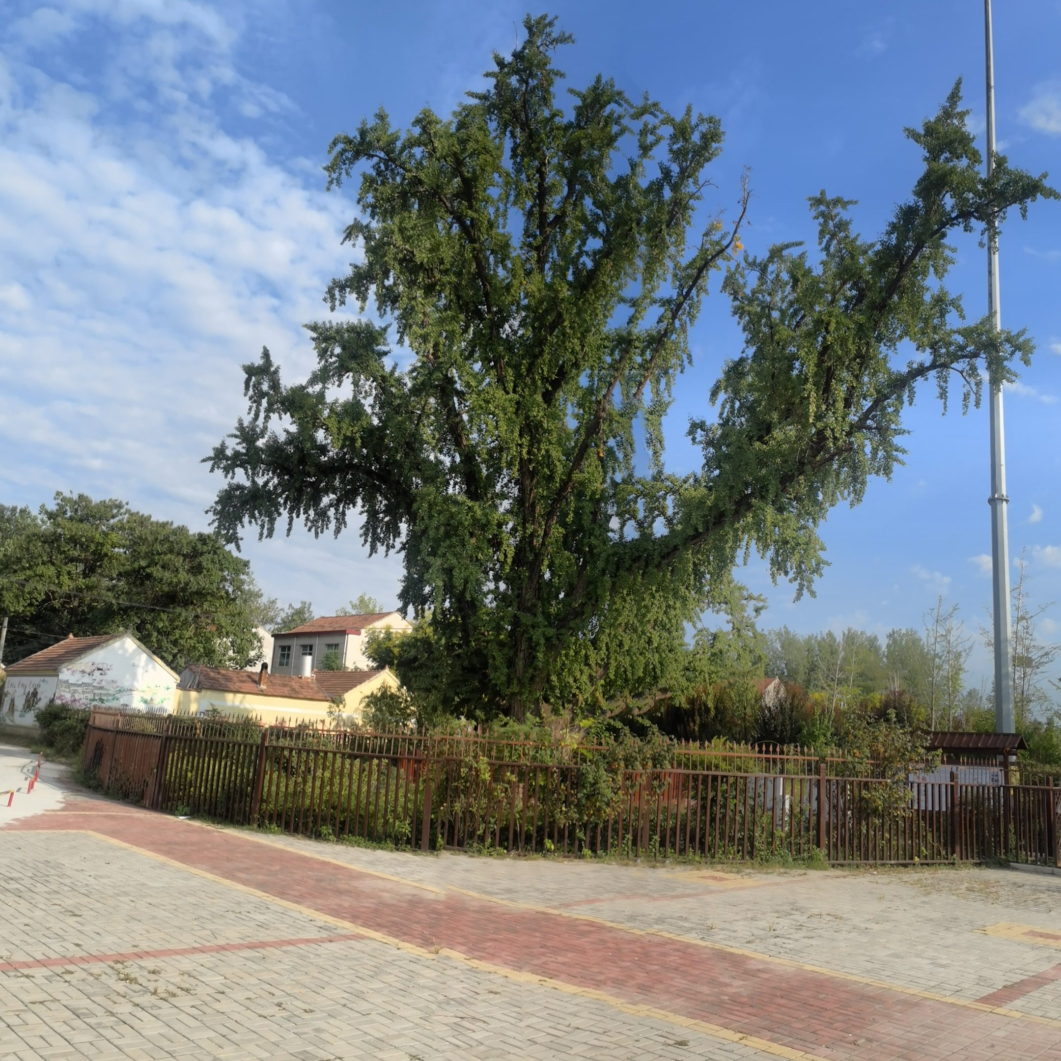 父亲的牺牲-苦也甜