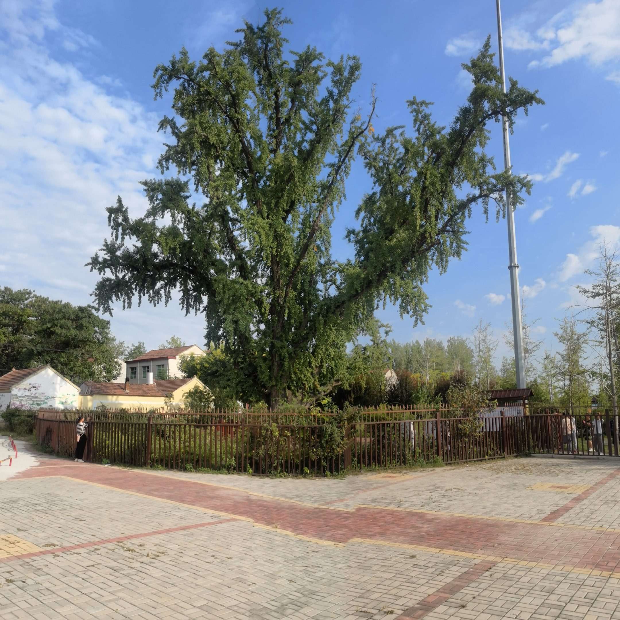 父亲在宝宝社会关系圈的角色扮演及与周围人的配合