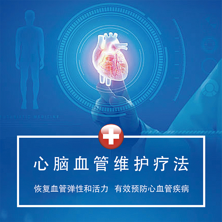 心脑血管维护