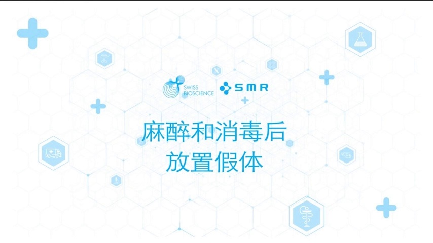 瑞士自体脂肪干细胞隆胸