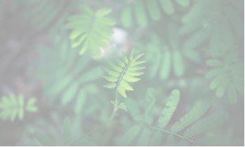 泛天然护肤时代