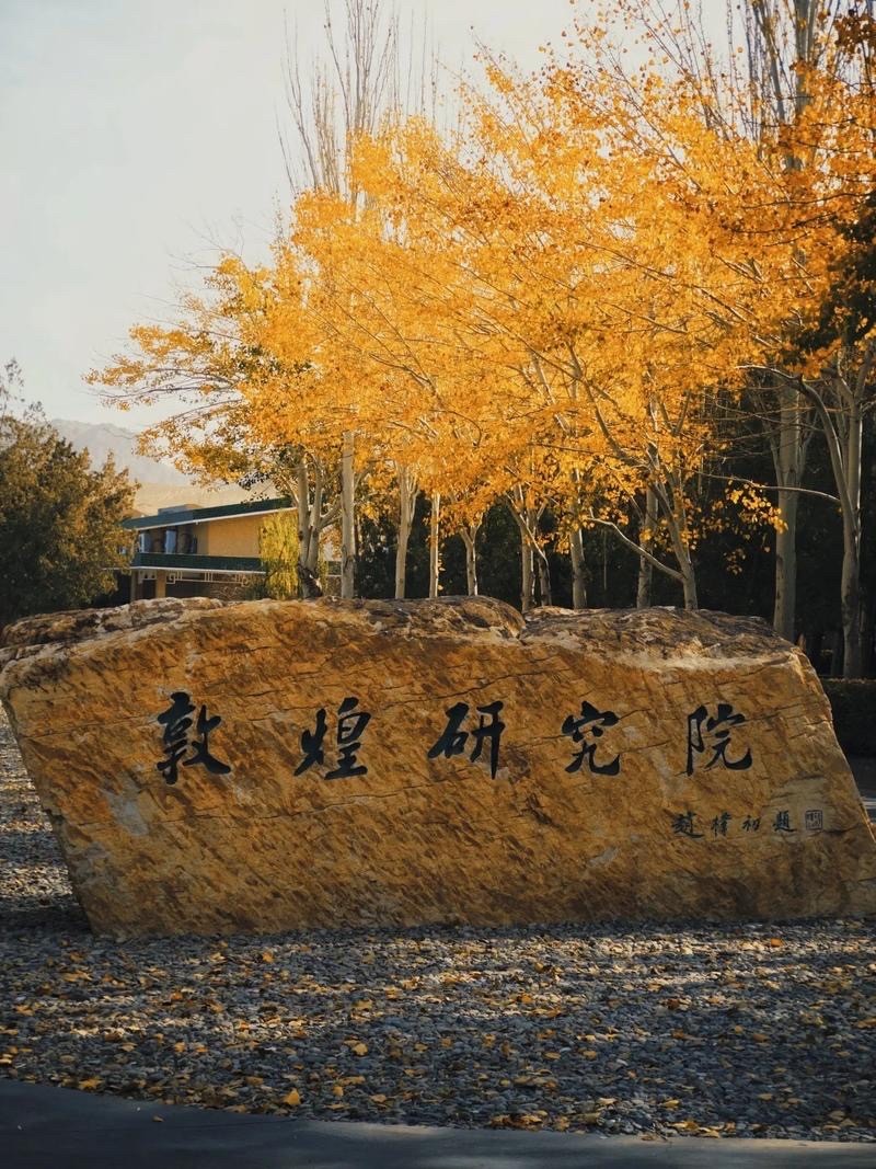 匠心赋能文博净水 守护千年敦煌文脉——甘肃榕树牙环保科技有限公司为敦煌研究院提供全套水处理设备保障