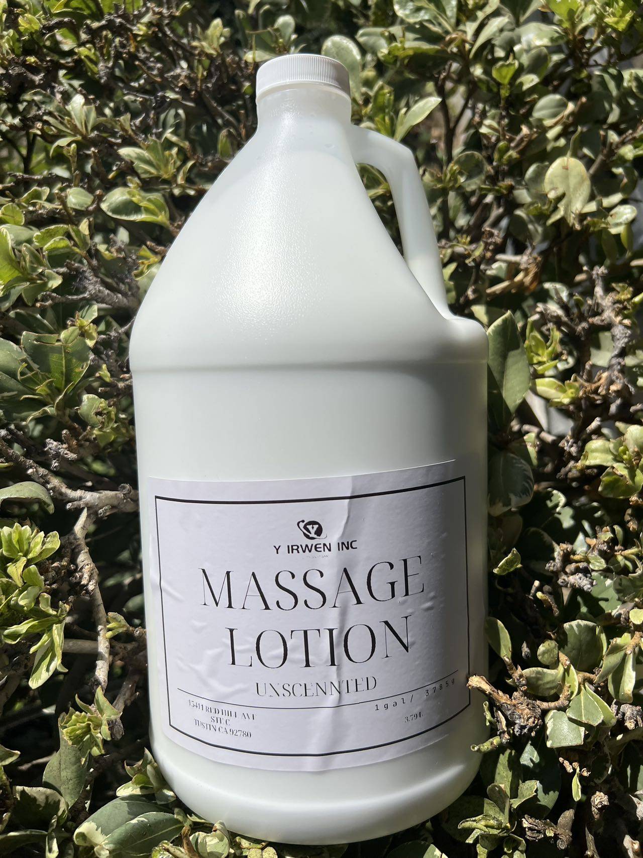 Massage body lotion