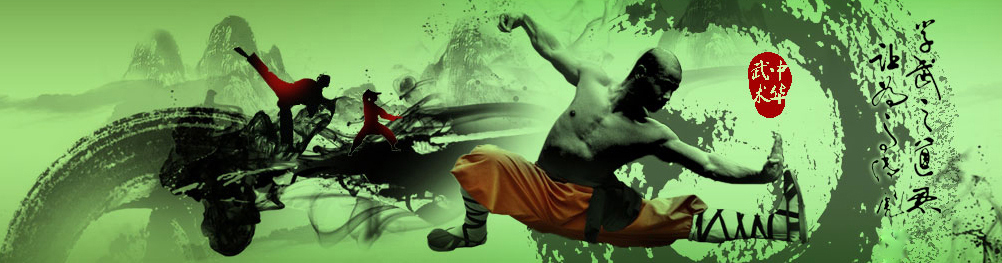 中国武术段位制查询网