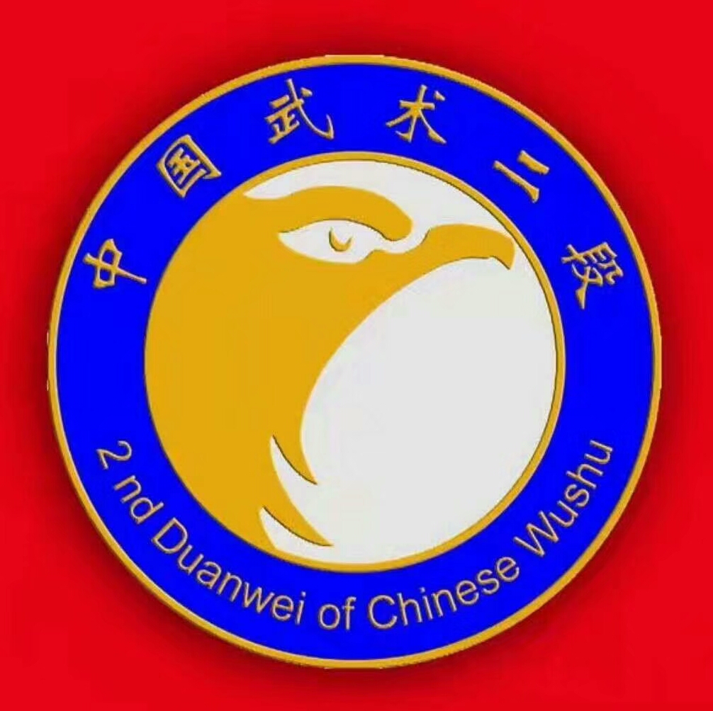 中国武术段位制查询网