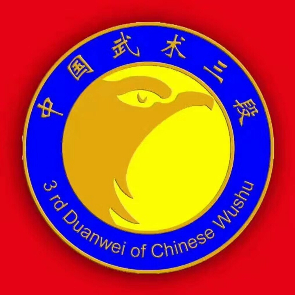 中国武术段位制查询网