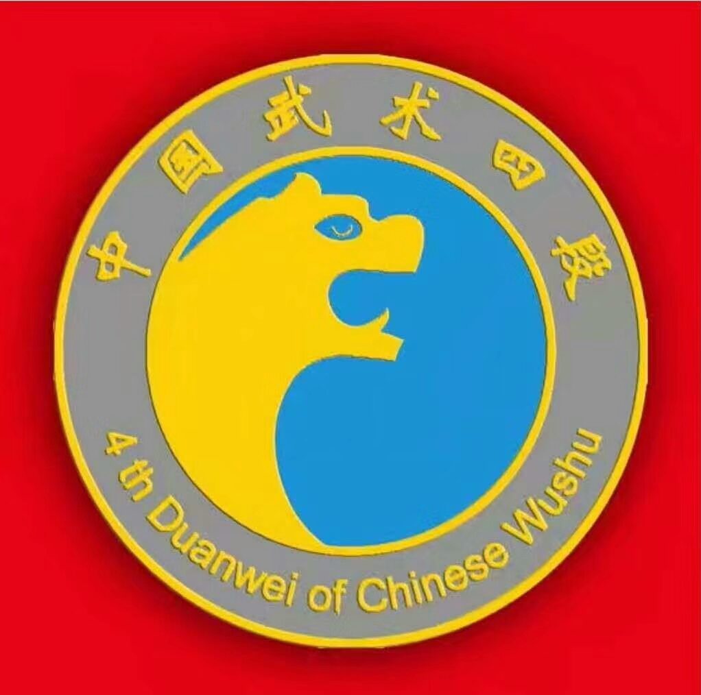 中国武术段位制查询网