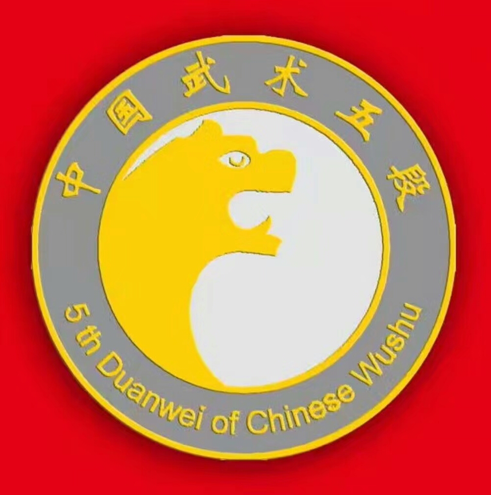 中国武术段位制查询网