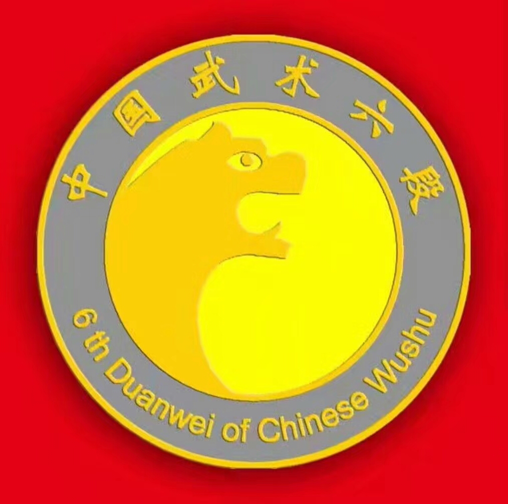 中国武术段位制查询网