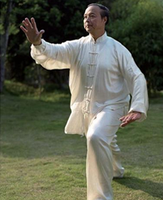 中国武术段位制查询网