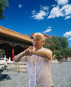 中国武术段位制查询网