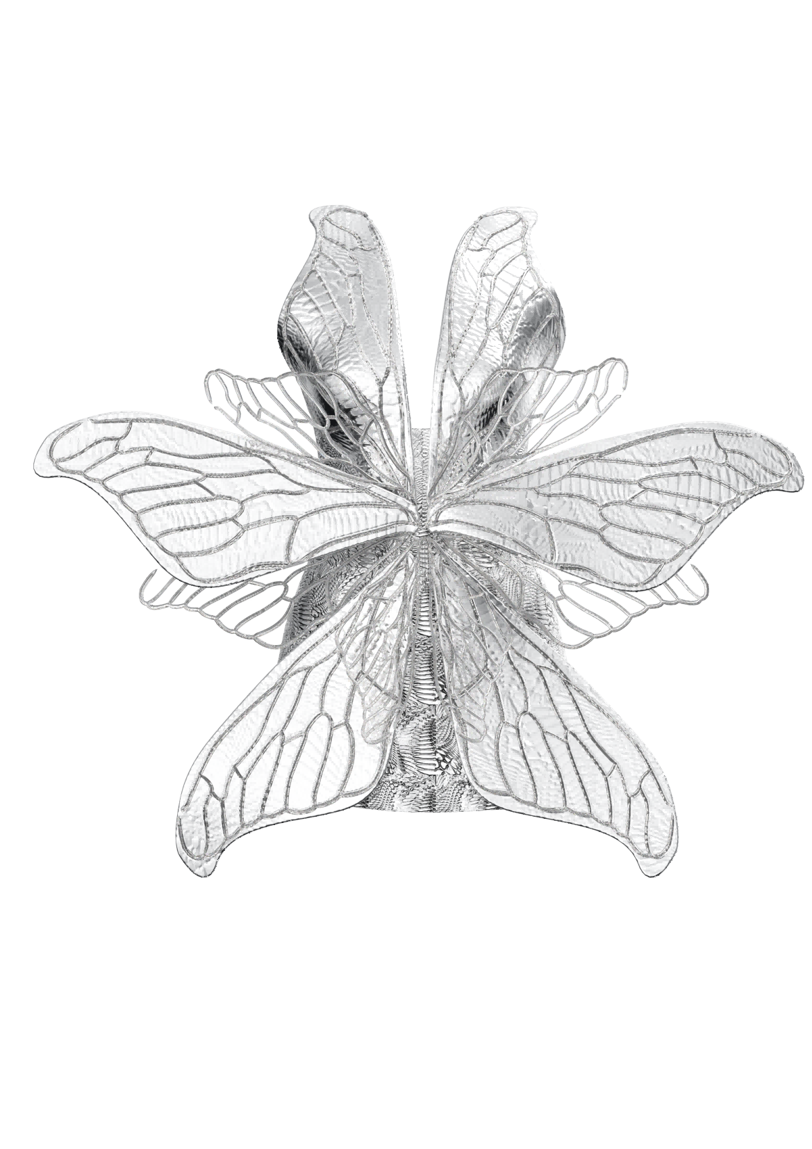 Silk Moth Wings