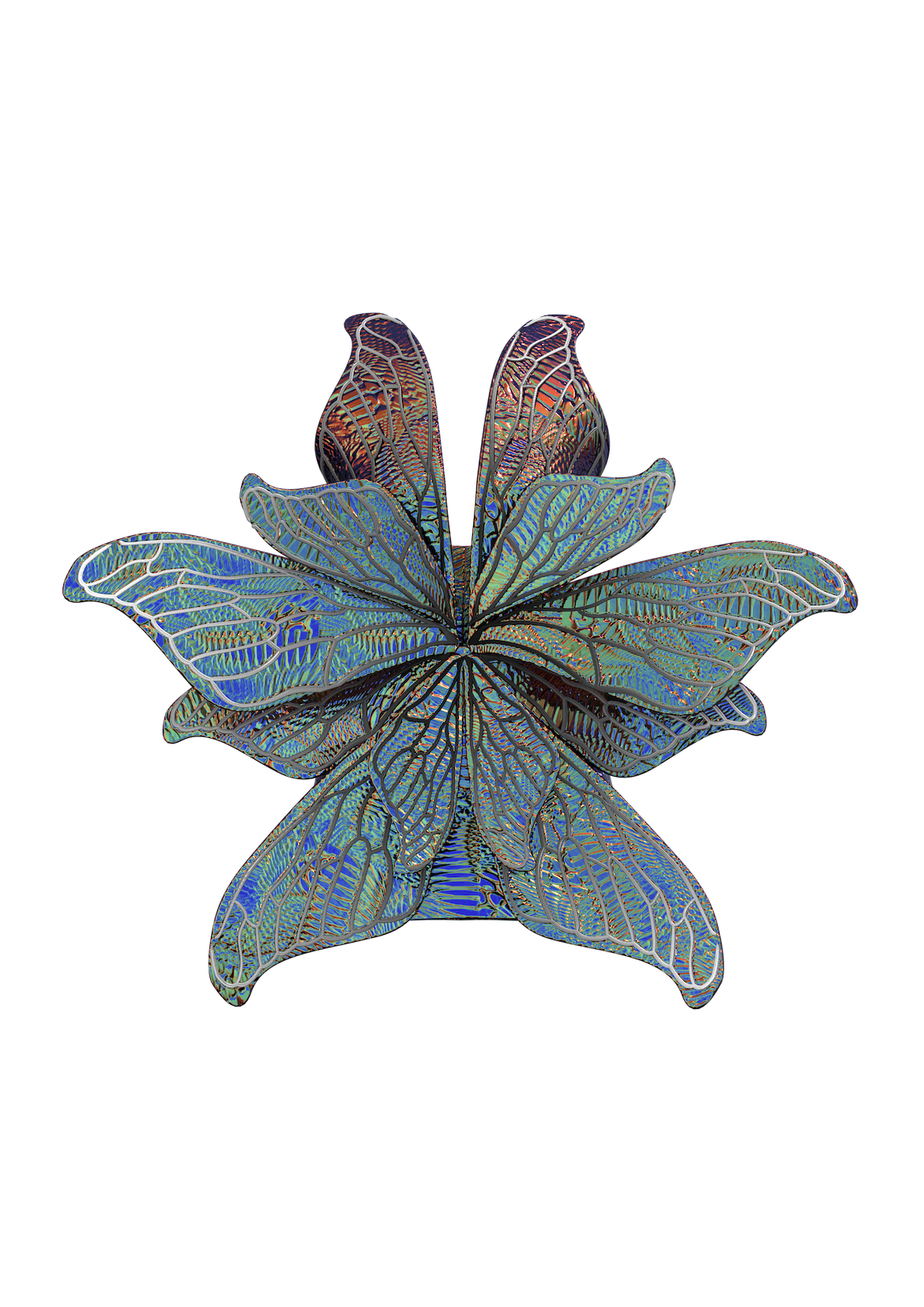 Silk Moth Wings