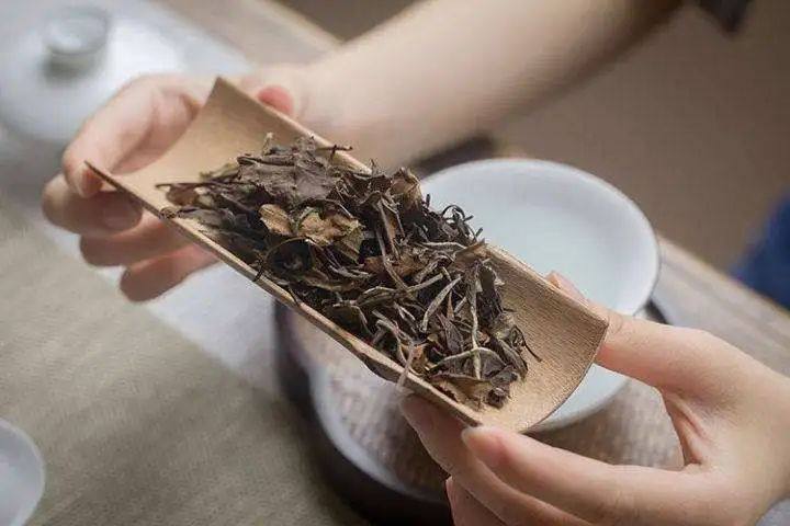 白茶“一年茶、三年养、七年宝”是为何