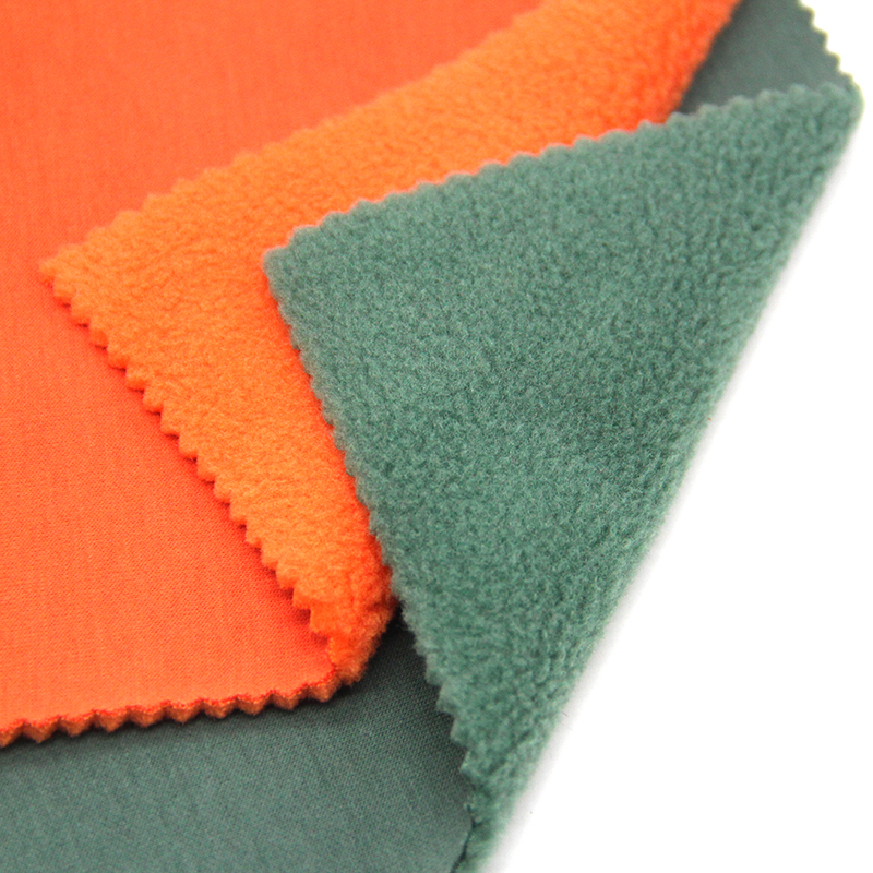 TK1751 ベルベット生地 - Guangdong Delong Fusheng Textile New