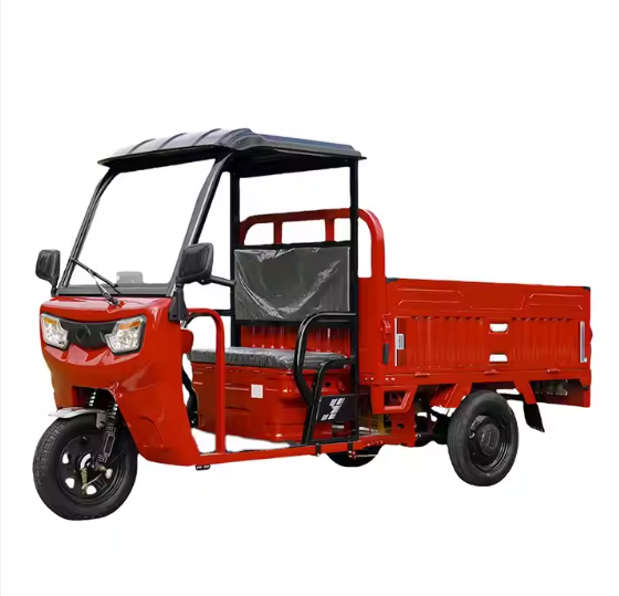 60V 1500W Electric Tricycle with Shed Household Cargo