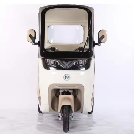 Electric Leisure Tricycle with Roof-ZHG